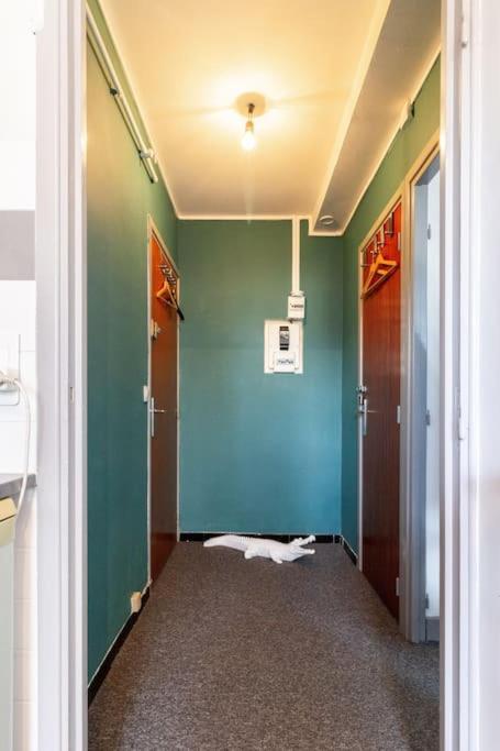 Double Appartement, Saint Michel, Parking, Wifi Toulouse Exterior foto